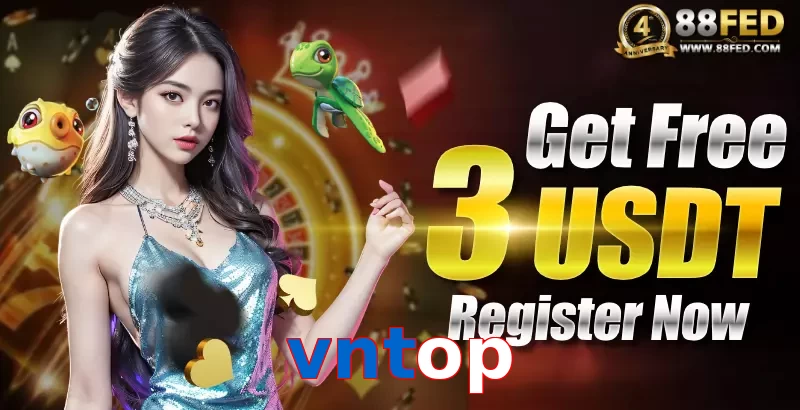 vntop