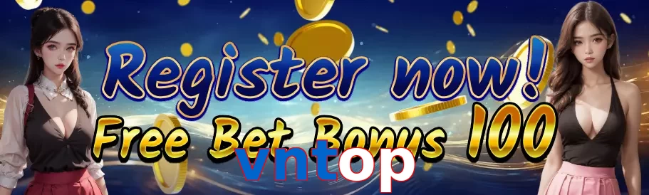 vntop