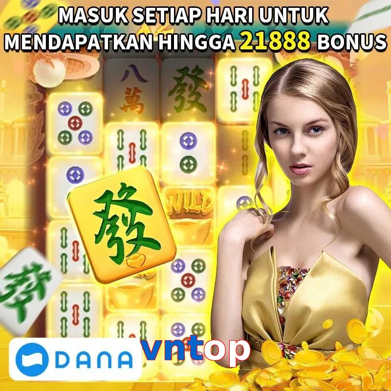 vntop