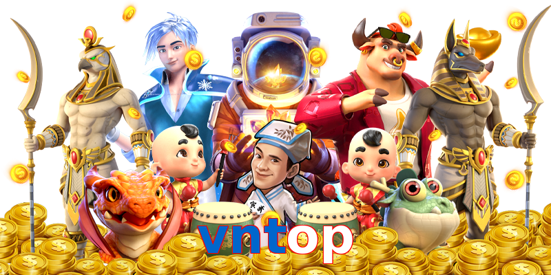 vntop