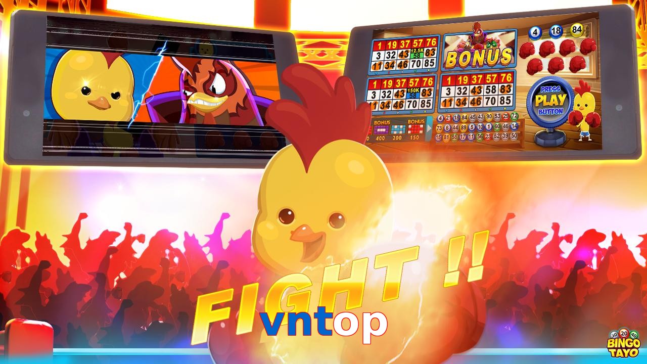 vntop