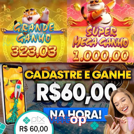 vntop