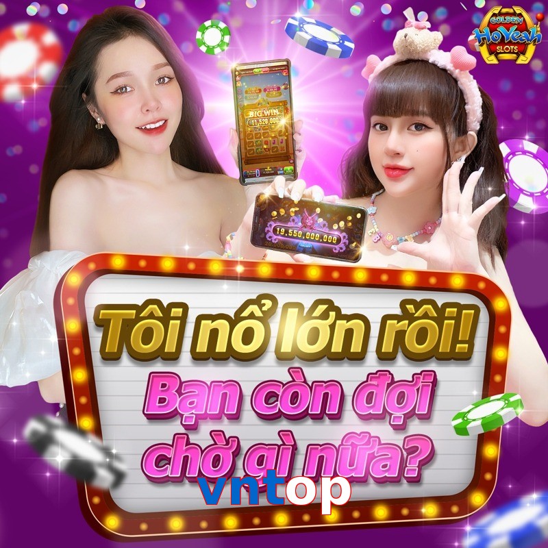 vntop