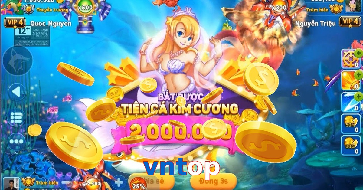 vntop