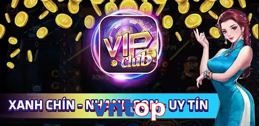vntop