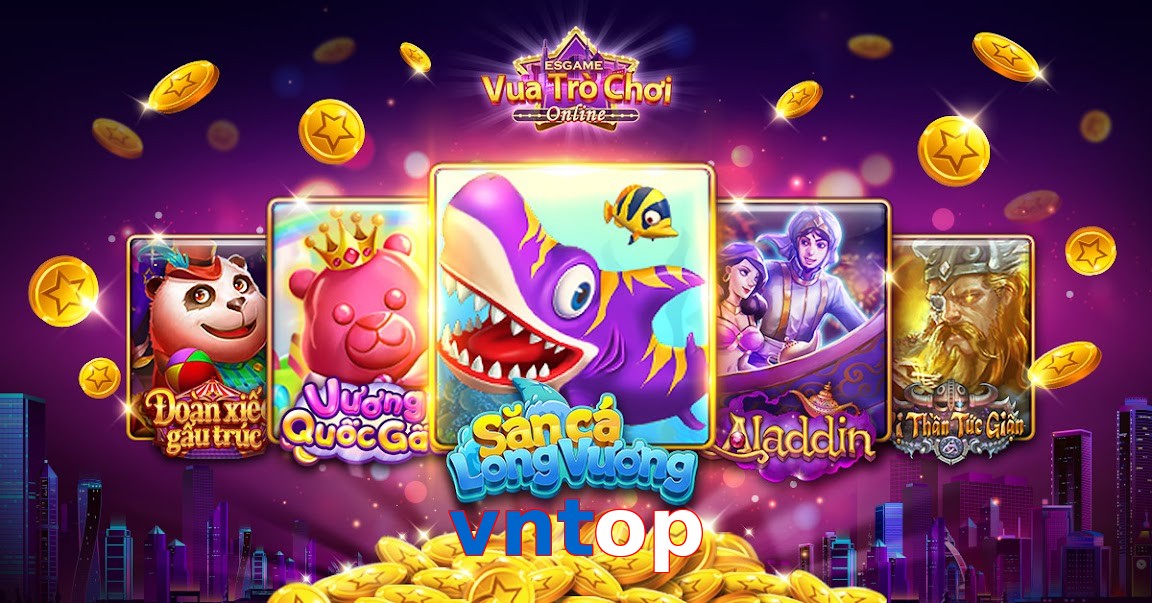 vntop