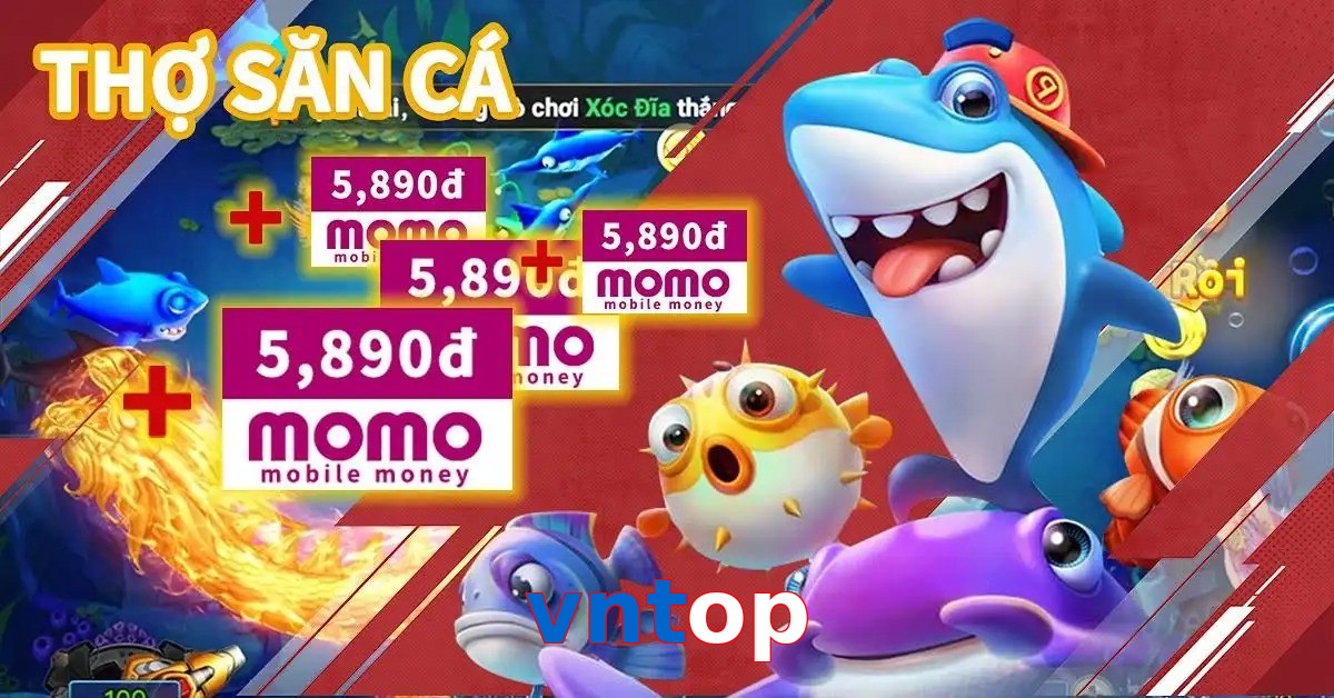 vntop