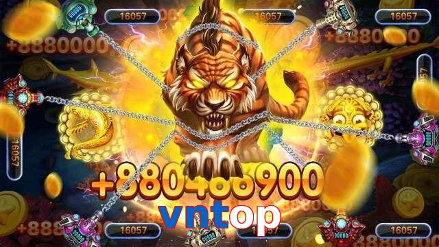 vntop