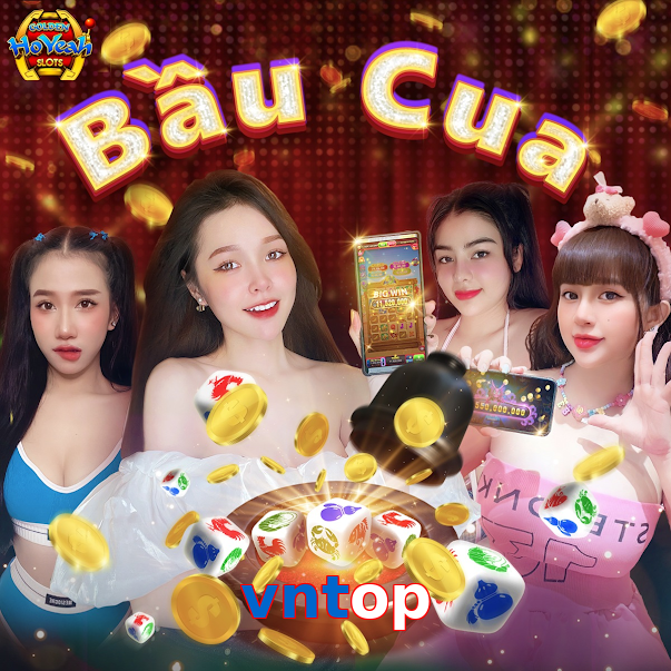 vntop