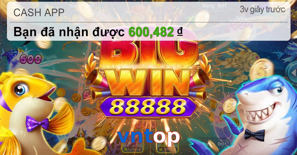 vntop