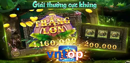 vntop