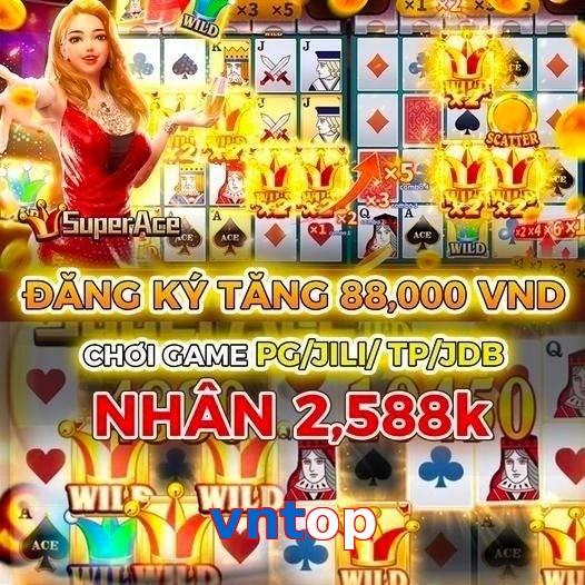 vntop