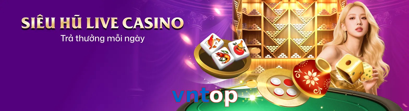 vntop